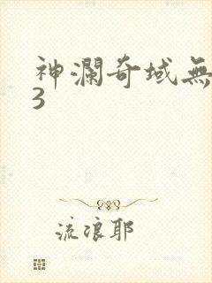 神澜奇域无双珠3