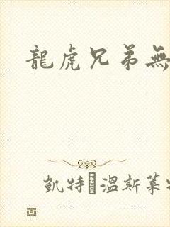 龙虎兄弟无删减