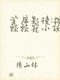 首席影后:总裁轻轻宠小说