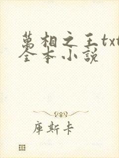 万相之王txt全本小说