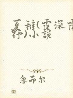 夏稚(霍深霍栖野)小说