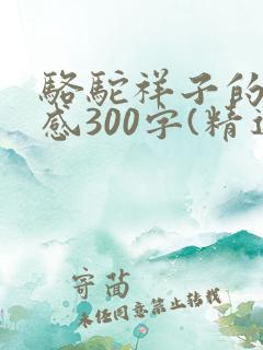 骆驼祥子的读后感300字(精选25篇)