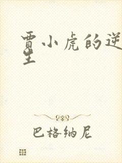 贾小虎的逆袭人生