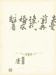离婚后,前夫哭着求我再爱他一次小说