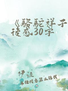 《骆驼祥子》读后感30字