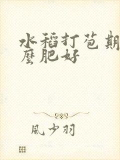 水稻打苞期用什么肥好