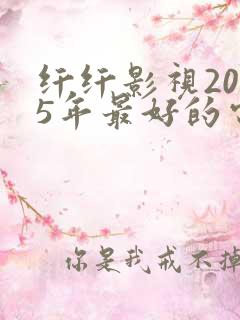 纤纤影视2025年最好的电视剧