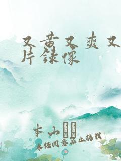 又黄又爽又猛大片录像