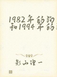 1982年的狗和1994年的狗婚姻相配吗