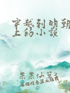 穿越到明朝当皇上的小说