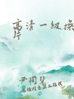 高清一级操大逼片