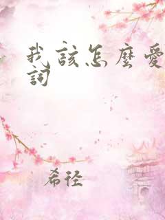 我该怎么爱你歌词