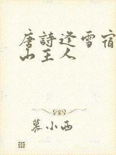 唐诗逢雪宿芙蓉山主人