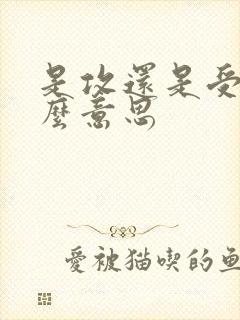 是攻还是受是什么意思