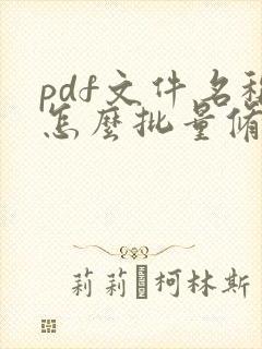 pdf文件名称怎么批量修改