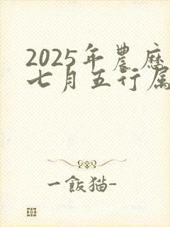 2025年农历七月五行属什么
