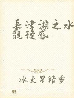 长津湖之水门桥观后感