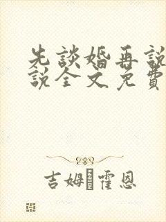 先谈婚再说爱小说全文免费阅读