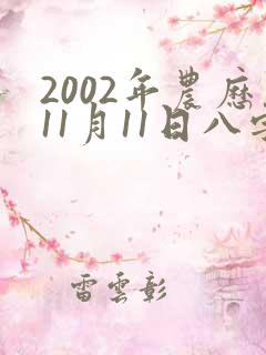2002年农历11月11日八字算命