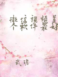 微信视频美颜哪个软件最好