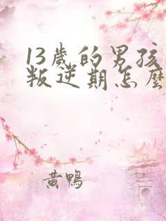 13岁的男孩子叛逆期怎么办