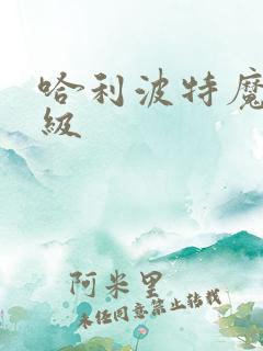哈利波特魔法等级