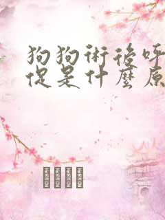狗狗术后呼吸急促是什么原因