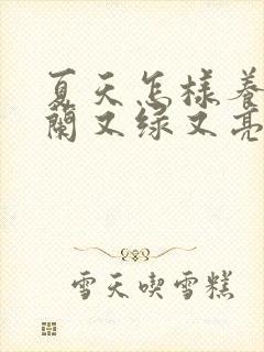 夏天怎样养君子兰又绿又亮