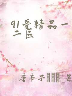 91爱精品一区二区