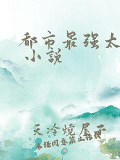 都市最强太子爷 小说