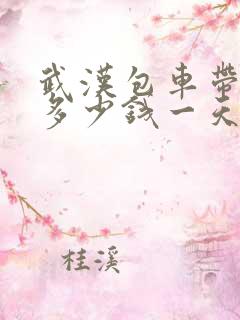 武汉包车带司机多少钱一天