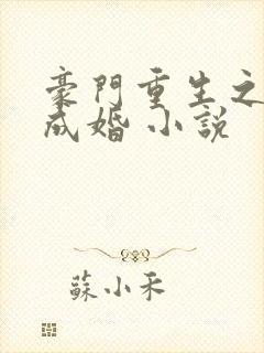 豪门重生之暖爱成婚 小说