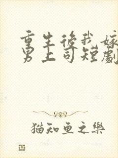 重生后我嫁给渣男上司短剧