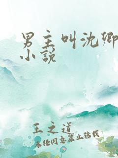 男主叫沈卿尘的小说