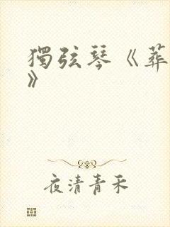 独弦琴《葬花吟》
