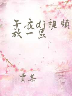午夜dj视频播放一区