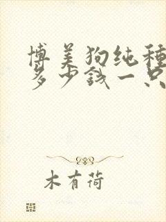 博美狗纯种大概多少钱一只