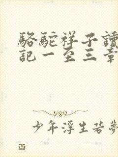 骆驼祥子读书笔记一至三章