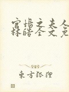 官场之夫人路线林皓全文免费听书