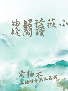曲昭徐薇小说在线阅读