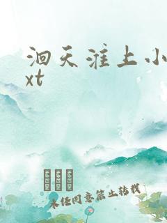 洄天淮上小说txt