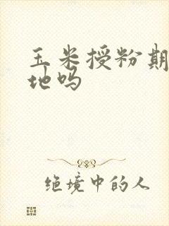 玉米授粉期能浇地吗