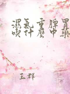 湿气重脾胃不好吃什么中药