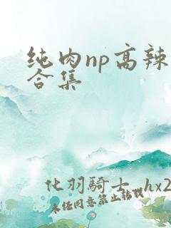 纯肉np高辣文合集