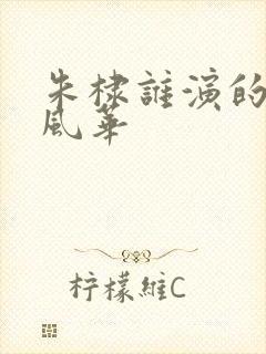 朱棣谁演的大明风华