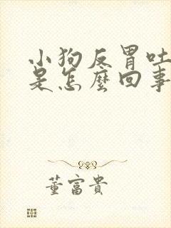 小狗反胃吐白沫是怎么回事