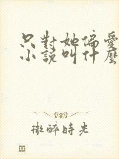只对她偏爱原著小说叫什么名字