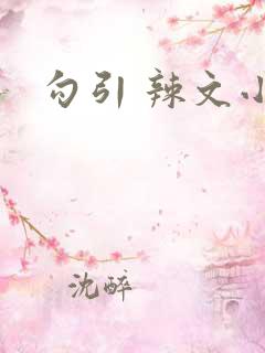勾引 辣文小说