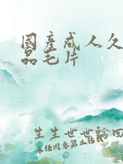 国产成人久久精品毛片