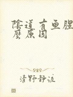 阴道有鱼腥味什么原因